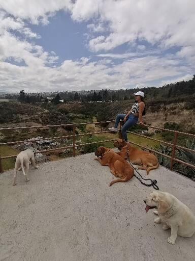 Fakali Homestay Quito Dış mekan fotoğraf