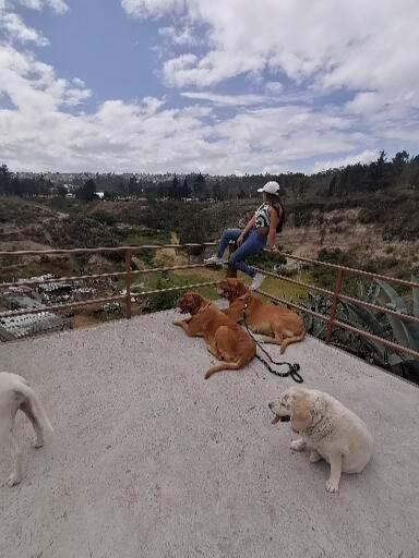 Fakali Homestay Quito Dış mekan fotoğraf